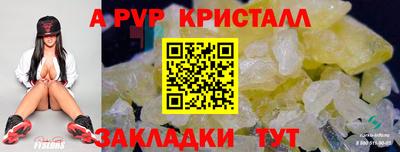 ECSTASY Гатчина