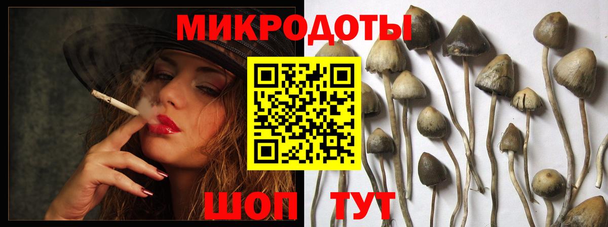 Керчь  Псилоцибиновые грибы Cubensis  Псилоцибиновые грибы ЛСД  Вход с VPN 
